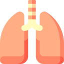 lungs (1)